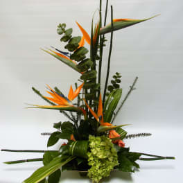 Tall tropical arrangement with orange bird-of-paradise and green hydrangea