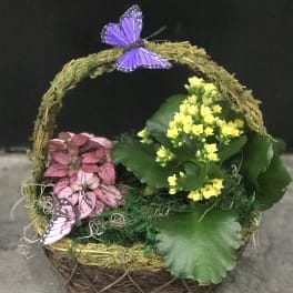 Basket planter with pink and yellow flowers and purple butterfly decorations