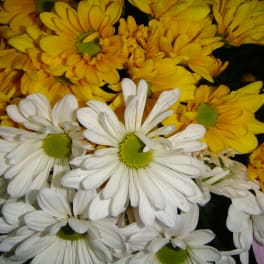 Designer's Choice Mixed Floral Bouquet - Same Day Flower Delivery Huntsville AL