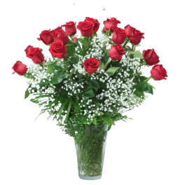 2 Dozen Red Roses with Baby's Breath
