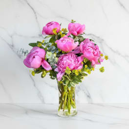 Rosé Peonies