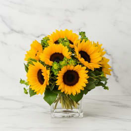 Bouquet of yellow sunflowers in a clear glass vase
