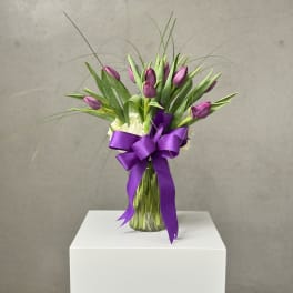 Passionate Purple Tulips