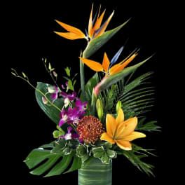 Tropical flower arrangement with orange bird-of-paradise and purple orchids in a glass vase
