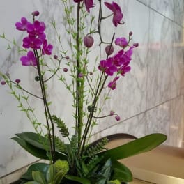 Purple orchid arrangement in a white bowl planter