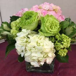 Bouquet of pink, green, and white hydrangeas in a square glass vase