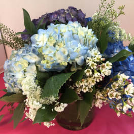 Blue and purple hydrangea bouquet with white filler flowers in a vase