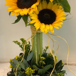 Sunflower Dawn !