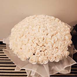Large bouquet of white roses wrapped in sheer paper