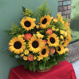 Basket arrangement of sunflowers and yellow-pink roses