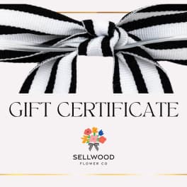 Gift certificate card with a black-and-white ribbon bow
