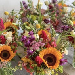 wild garden designer choice