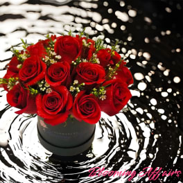Red roses arranged in a black round box