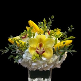 Yellow orchids and white hydrangeas in a clear square vase