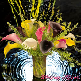 Tall bouquet of multicolored calla lilies in a clear glass vase