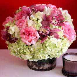 Garden Of Pinks