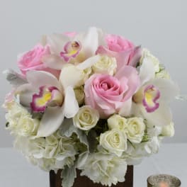 Soft Pink Boxed