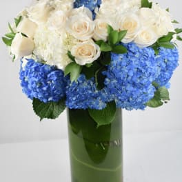 White roses and blue hydrangeas arranged in a tall glass vase