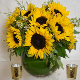sunflower love