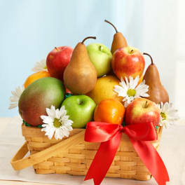 All Fruit Basket