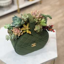 Succulent arrangement in a dark green handbag-shaped container