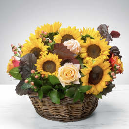 Basket arrangement of sunflowers and pale roses
