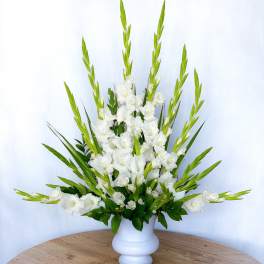 Radiant White Gladiolus