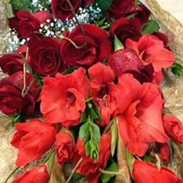 Bouquet of red roses and red amaryllis with baby's breath