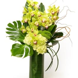 Tall green cymbidium orchid and hydrangea arrangement with large tropical leaves in a glass cylinder vase