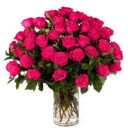 Four Dozen Hot Pink Roses