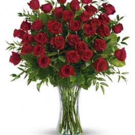 Large bouquet of long-stem red roses arranged in a clear glass vase