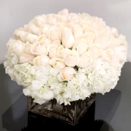 Low arrangement of cream roses and white hydrangeas in a clear glass cube vase