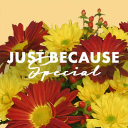Just Because