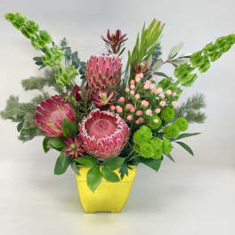 Bold arrangement of pink protea, green blooms, and bells of Ireland in a bright yellow square pot