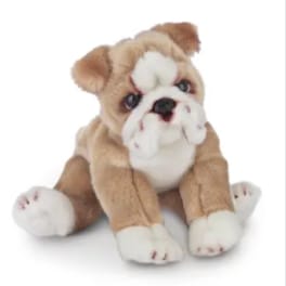 Small tan and white bulldog stuffed animal sitting with legs splayed forward