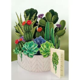 Paper pop-up display of assorted succulents and cacti in a round pot with a matching card.