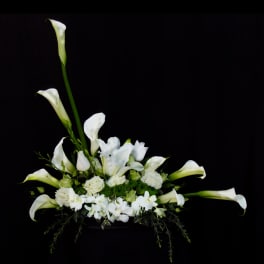 White calla lilies and orchids arranged in a low centerpiece