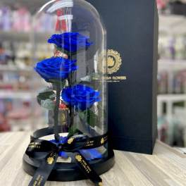 Three blue roses under a clear glass dome on a black base with ribbon and gift box.