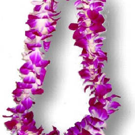Orchid Lei