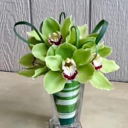 Green orchids arranged in a clear glass vase