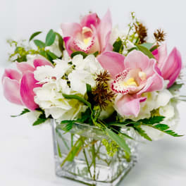Orchids For The Desk