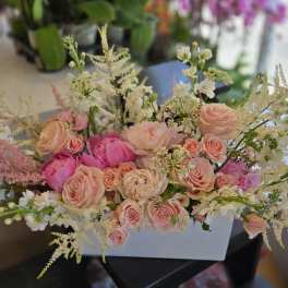 MD Arrangement - 1