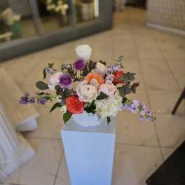 MD Arrangement - 4