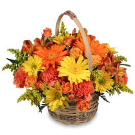 Caregiver Basket by FSN