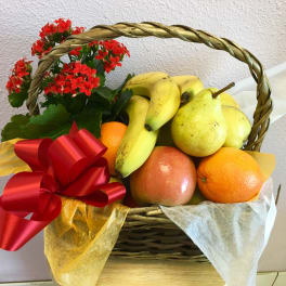 Fruity Basket by Forever Flowers