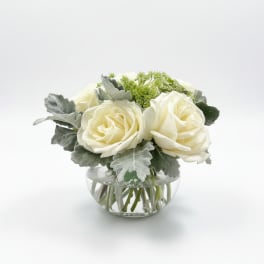 Simple Elegance