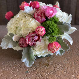 Pink tulips and white hydrangeas in a low bouquet with silver foliage