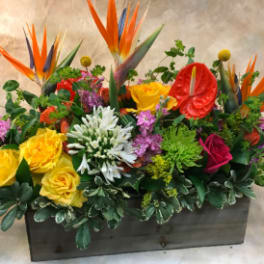 Tropical floral arrangement with roses and bird-of-paradise in a rectangular container