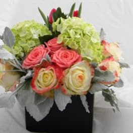 Bouquet of pink and cream roses with green hydrangeas in a black box
