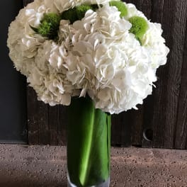White hydrangea bouquet with green accents in a tall glass vase